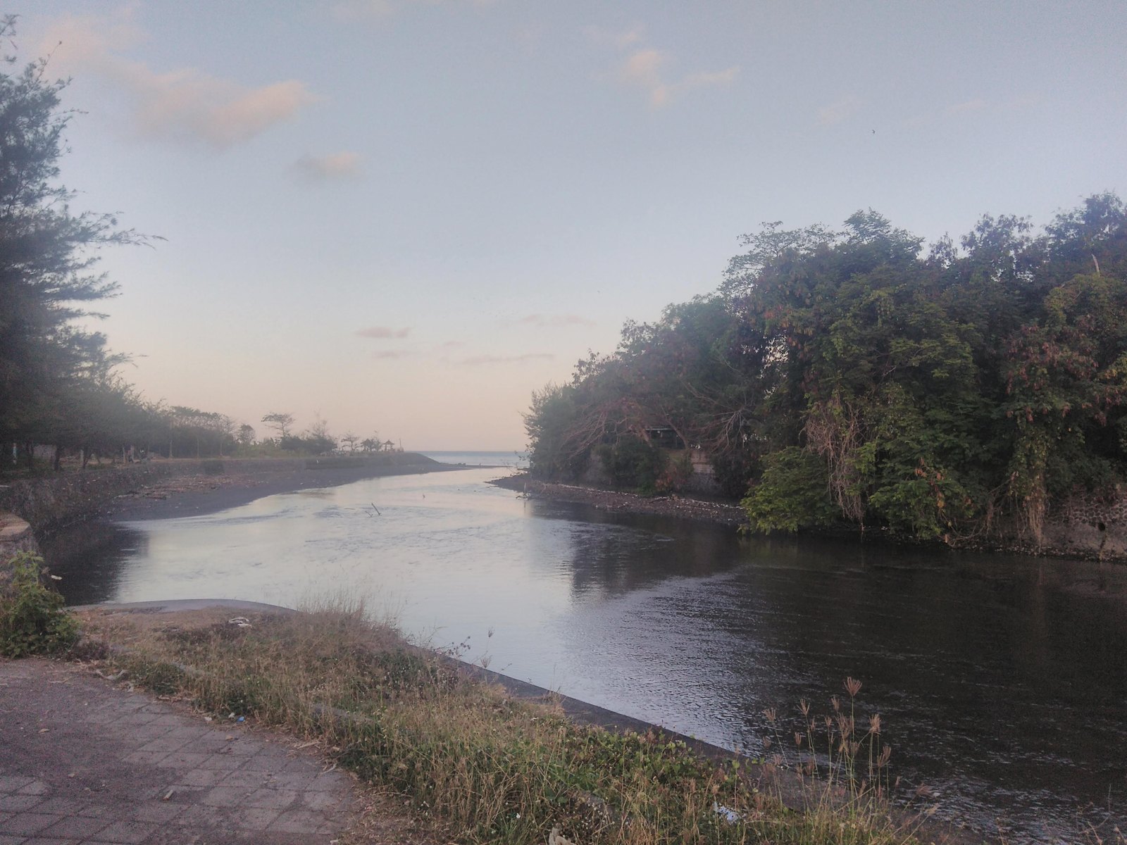 Ekosistem sungai, ilustrasi