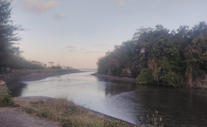 Muara Sungai Ayung, Bali; ilustrasi ekosistem